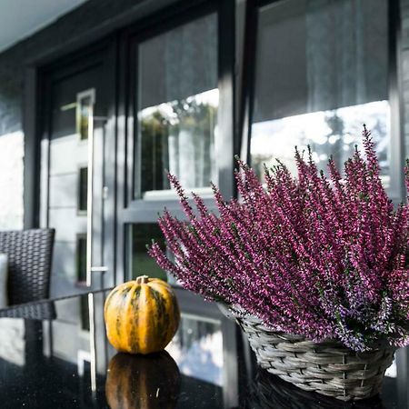 Ferienwohnung Saalhausen Sauerland Lennestadt Ngoại thất bức ảnh